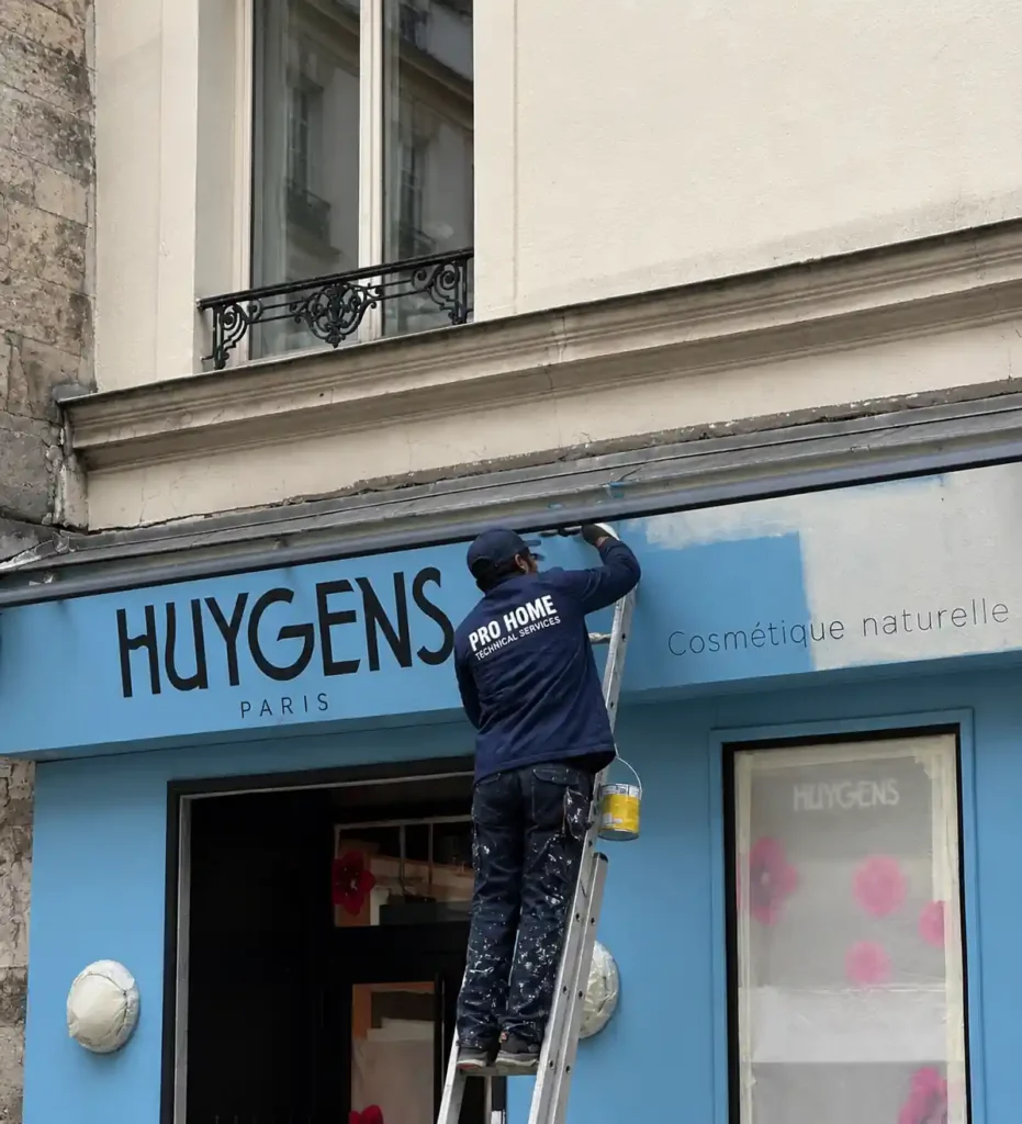 Pro Home Fixing painting