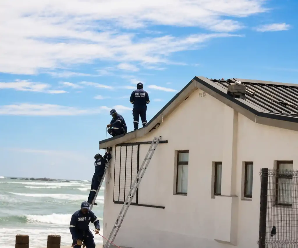 Pro Home Fixing roof